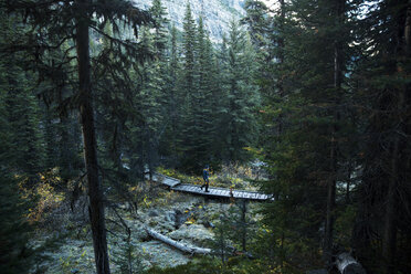 Wanderer beim Überqueren der Waldpromenade, Lake Louise, Alberta, Kanada - AURF07881