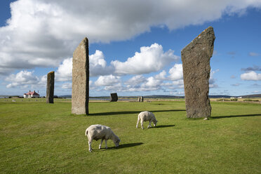 Großbritannien, Schottland, Orkney, Festland, Neolithischer Steinkreis - ELF01942