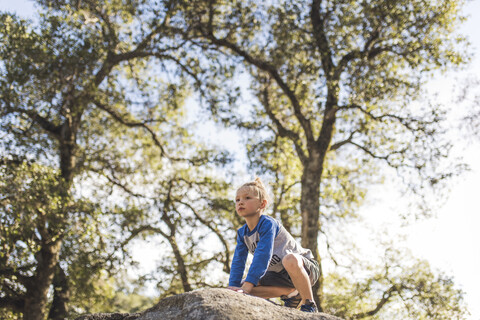 Niedriger Blickwinkel des Jungen, der wegschaut, während er auf einem Felsen vor Bäumen sitzt, lizenzfreies Stockfoto