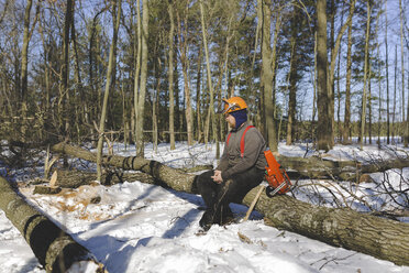 Holzfäller auf Baumstämmen im Wald sitzend im Winter - CAVF55037