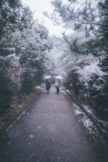 Rückansicht einer Frau, die einen Regenschirm hält, während sie bei Schneefall auf einer Straße neben Bäumen geht - CAVF55067
