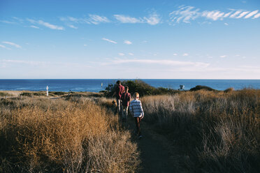 Rückansicht von Vater mit Hund und Söhnen, die inmitten von Pflanzen auf einem Feld am Meer spazieren gehen, gegen den Himmel - CAVF55075