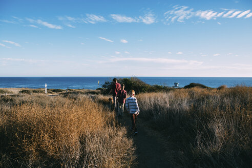 Rückansicht von Vater mit Hund und Söhnen, die inmitten von Pflanzen auf einem Feld am Meer spazieren gehen, gegen den Himmel - CAVF55075