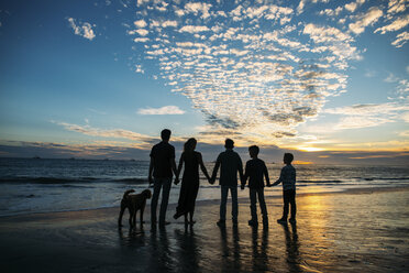 Rückansicht einer Familie, die sich an den Händen hält, während sie neben einem Hund steht, gegen einen bewölkten Himmel am Strand während des Sonnenuntergangs - CAVF55085