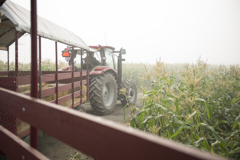 Rückansicht eines Mannes, der einen Traktor auf einem Bauernhof fährt, gegen einen klaren Himmel, lizenzfreies Stockfoto