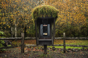 Telefonzelle im Wald im Herbst - CAVF55114