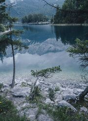 Landschaftlicher Blick auf einen ruhigen See im Wald - CAVF55172