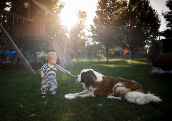 Kleiner Junge spielt mit Hund auf Spielplatz - CAVF55275