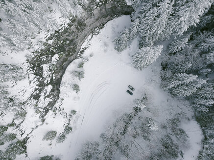 Hohe Winkelansicht von Autos inmitten von gefrorenen Bäumen im Wald im Winter - CAVF55503