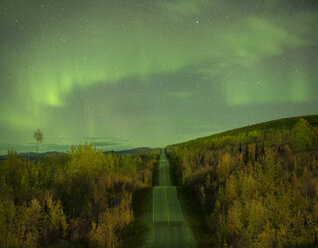 Scenic view of road amidst trees against aurora borealis at night - CAVF55660