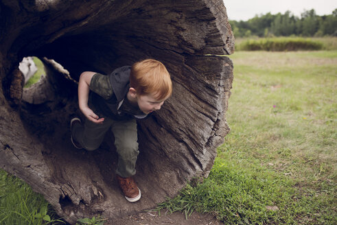 Junge läuft in hohlem Baumstamm im Park - CAVF55705