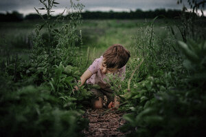 Junge pflückt Pflanzen, während er auf einem Feld kniet - CAVF55718
