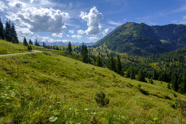 Austria, Tyrol, Juifen, Rotwand mountain pasture - LBF02235