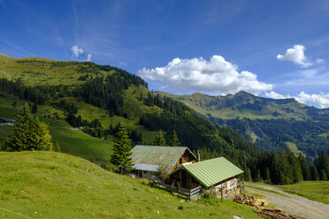 Austria, Tyrol, Juifen, Baier mountain pasture at way to Rotwand mountain pasture - LBF02237