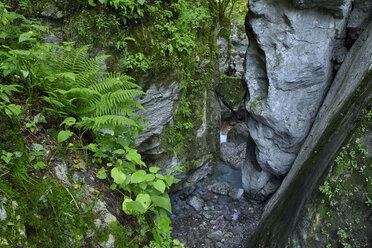 Slowenien, Tolmin, Triglav-Nationalpark, Tolmin-Schluchten, Bärenkopf-Felsen - RUEF02025