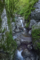 Slowenien, Tolmin, Triglav-Nationalpark, Tolmin-Schluchten - RUEF02026