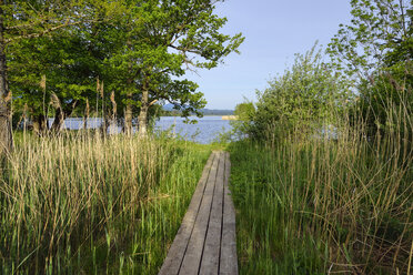 Boardwalk at lake Staffelsee, Upper Bavaria, Germany - RUEF02046