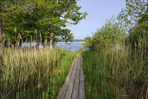 Uferpromenade am Staffelsee, Oberbayern, Deutschland - RUEF02046