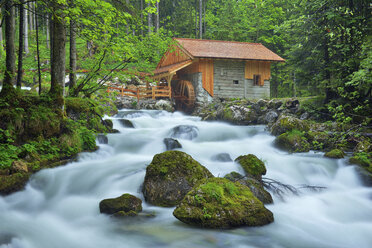 Alte Mühle am Schwarzbach in der Nähe des berühmten Golling-Wasserfalls im Frühjahr, Österreich - RUEF02054