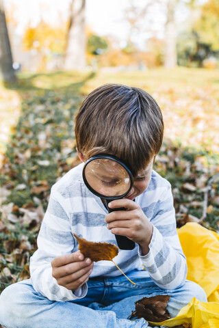 Kleiner Junge erforscht Herbstblatt mit Lupe in der Natur, lizenzfreies Stockfoto