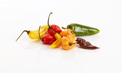 Various chili pods on white background - KSWF01989