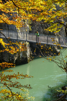 Österreich, Tirol, Wanderer auf Hängebrücke mit Blick auf die Tiroler Ache im Herbst - LBF02253