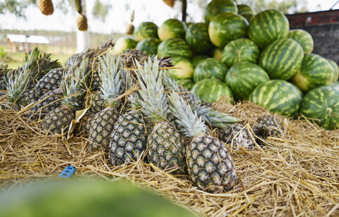 Brasilien, Ananas und Wassermelonen auf einem Markt, lizenzfreies Stockfoto