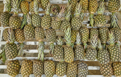 Brazil, pineapples on a market - SSCF00007