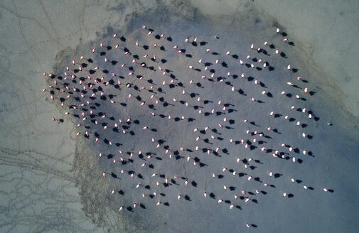 Bolivien, Laguna Colorada, Blick von oben auf Flamingos im See - SSCF00039