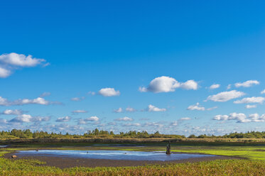 Mardorf, Steinhuder Meer Nature Park, moor landscape - FRF00779