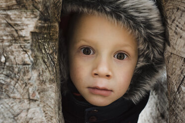 Nahaufnahme eines niedlichen Jungen inmitten von Bäumen - CAVF55970