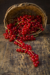 Red currants in basket on wood - LVF07563