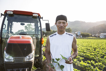 Japanischer Bauer steht vor einem roten Traktor in einem Sojabohnenfeld und schaut in die Kamera. - MINF09652