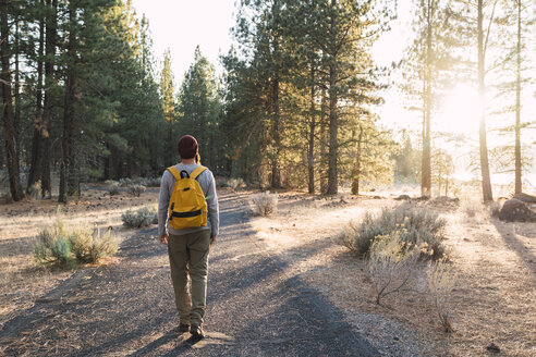 USA, North California, rear view of young man walking on a path in a forest near Lassen Volcanic National Park - KKAF02973