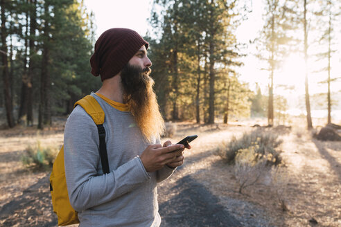 USA, North California, bearded man with cell phone in a forest near Lassen Volcanic National Park - KKAF02974