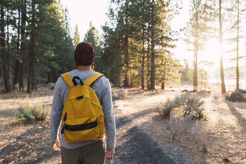 USA, Nordkalifornien, Rückansicht eines jungen Mannes auf einem Waldweg in der Nähe des Lassen Volcanic National Park, lizenzfreies Stockfoto