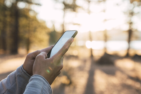 Nahaufnahme eines Mannes, der in einem Wald ein Mobiltelefon benutzt, lizenzfreies Stockfoto