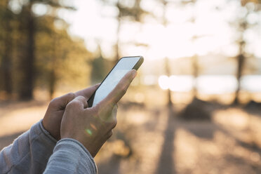 Close-up of man's hands using cell phone in a forest - KKAF02983