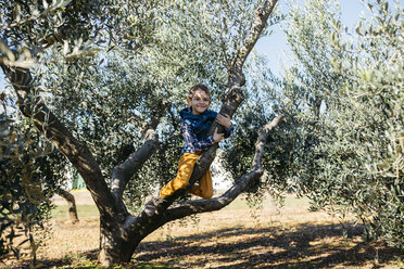 Fröhlicher Junge spielt in einem Olivenbaum - JRFF02112