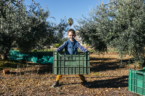 Junge hilft bei der Olivenernte im Obstgarten - JRFF02113