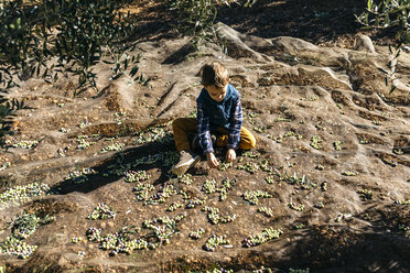 Junge spielt mit Oliven in einem Olivenhain - JRFF02125