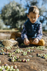Junge spielt mit Oliven in einem Olivenhain - JRFF02127