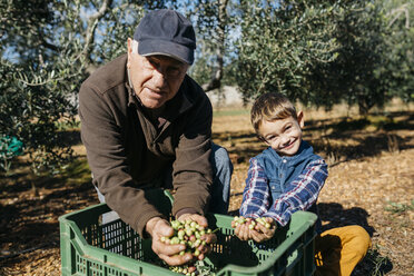 Porträt eines älteren Mannes und seines Enkels bei der gemeinsamen Olivenernte im Obstgarten - JRFF02135