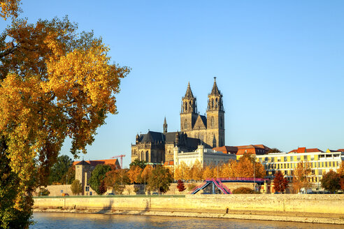 Deutschland, Sachsen-Anhalt, Magdeburg, Dom zu Magdeburg und Elbe - PUF01340