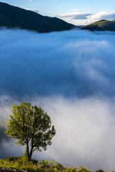 Italy, Umbria, Sibillini National Park, Piano Grande di Castelluccio di Norcia in the morning, fog - LOMF00755
