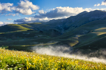 Italien, Umbrien, Nationalpark Sibillini, Piano Grande di Castelluccio di Norcia bei Sonnenaufgang - LOMF00756