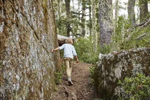 Chile, Puren, Nahuelbuta-Nationalpark, Junge passiert Felsbrocken in einem Araukarienwald, lizenzfreies Stockfoto