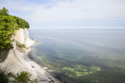 Deutschland, Mecklenburg-Vorpommern, Rügen, Nationalpark Jasmund, Kreidefelsen - MAMF00230