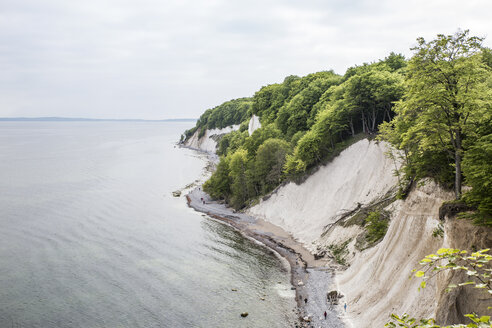 Deutschland, Mecklenburg-Vorpommern, Rügen, Nationalpark Jasmund, Kreidefelsen - MAMF00235