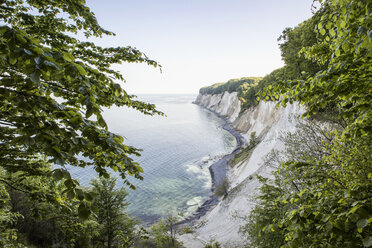 Deutschland, Mecklenburg-Vorpommern, Rügen, Nationalpark Jasmund, Kreidefelsen - MAMF00236